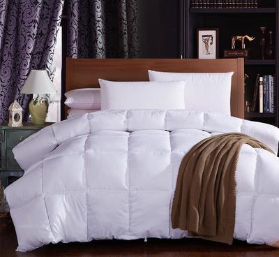 秋冬季加厚超柔纖羽柔絲被 廠家直供，團(tuán)購批發(fā)優(yōu)選